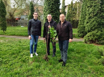 Крок до затишку: нові насадження на території Будинку Милосердя