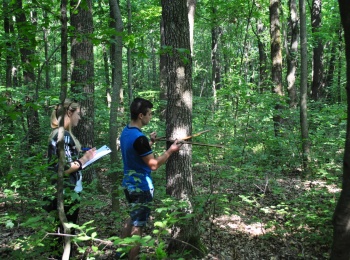 Навчальна практика студентів лісового господарства