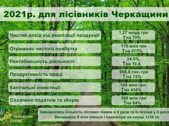 Протягом 2021 року лісівники Черкащини сплатили 566 мільйонів гривень податків та зборів