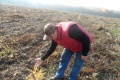 Науковий співробітник Юрій Єлісавеко на родинній плантації модрини європейської.
