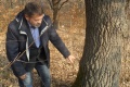 Сергій Коваль на клоновій плантації дуба звичайного, створеній Василем Білоусом.
