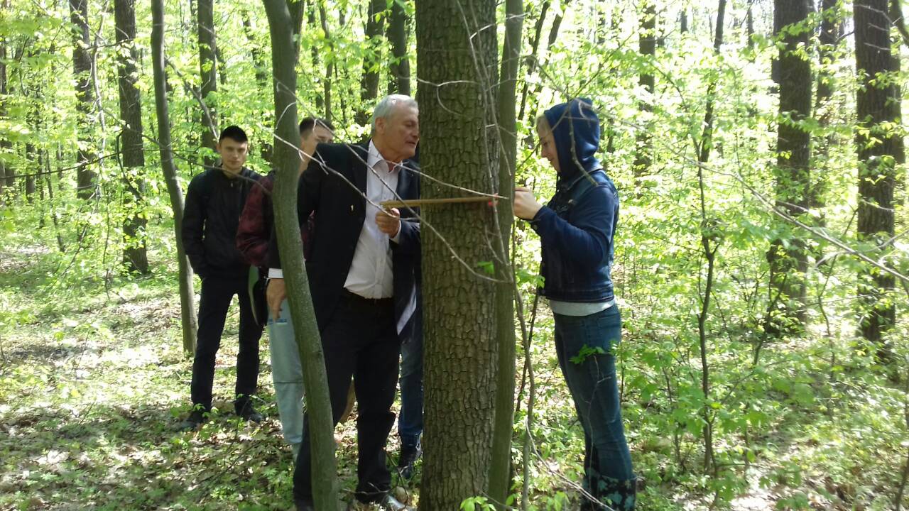 ПРАКТИЧНЕ ЗАНЯТТЯ З ДИСЦИПЛІНИ «ЛІСІВНИЦТВО»