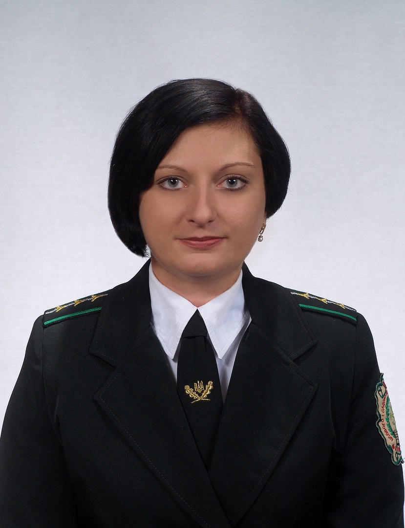 Попередній розгляд дисертаційної роботи Масловатої Світлани Андріївни  на здобуття наукового ступеня кандидата сільськогосподарських наук зі спеціальності 06.03.01 – лісові культури та фітомеліорація